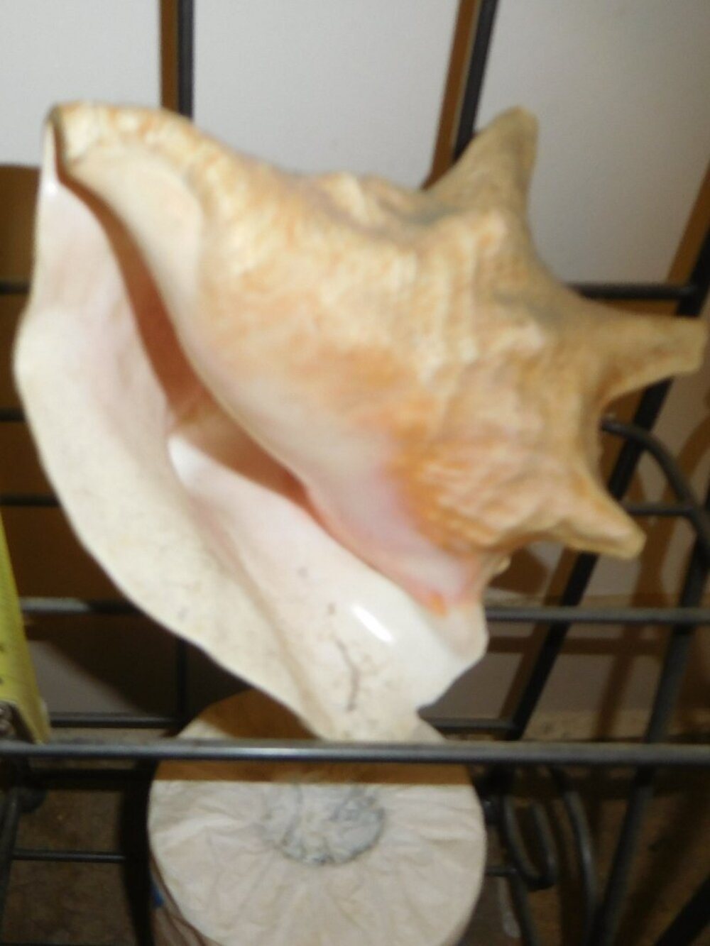 2-Decor Shells